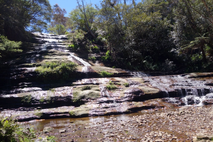 A short walk in the Blue Mountains - Chase the Horizon Travel Blog